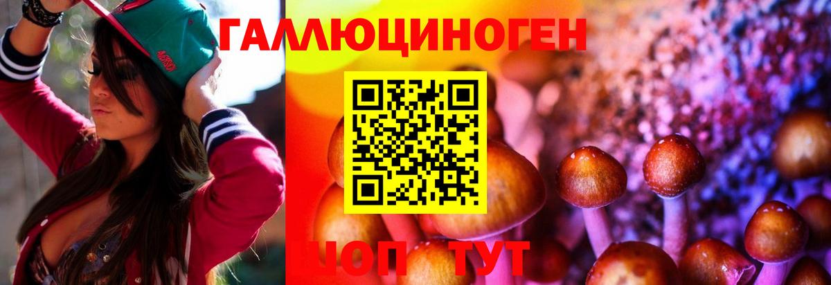 Псилоцибиновые грибы Psilocybine cubensis Туймазы